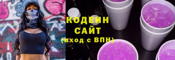 шишки Бердск