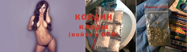 гидра Лихославль