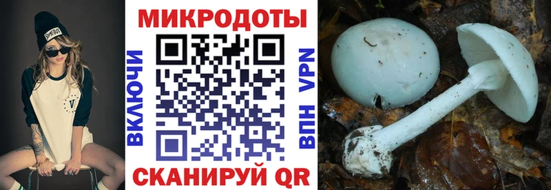 Псилоцибиновые грибы MAGIC MUSHROOMS  Чапаевск 